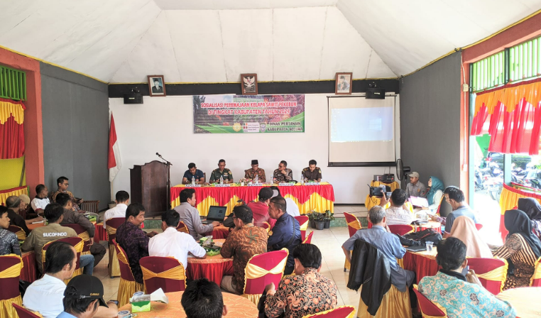 Sosialisasi PSR Di Tingkat Kabupaten 2024